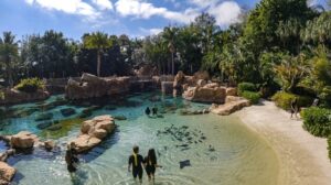 Discovery Cove : Saving a Species