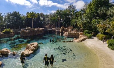 Discovery Cove - Saving a Species