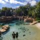 Discovery Cove - Saving a Species