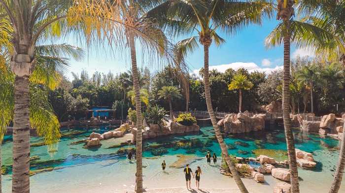 A Tropical Oasis in Orlando - Discovery Cove 67 The Grand Reef