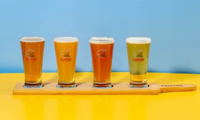 Best Beer Brands