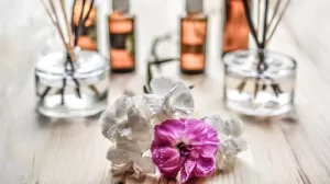 The Best Brand Of Essential Oils