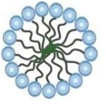 A graphical representation of a micelle