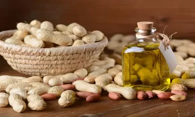 Groundnut Oil