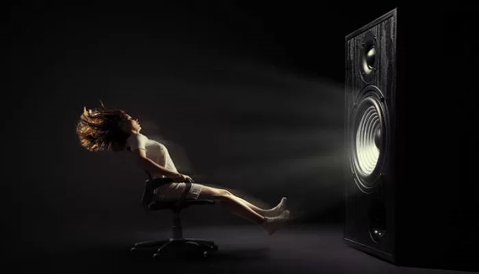 The Best Brands of 15 Inch Subwoofers 79 Subwoofers