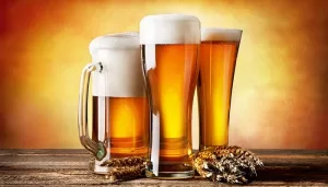 The Best Brands of Beer