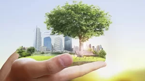 Sustainability Research At NUS Gets A Boost From Temasek