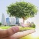hydrogen technologies and blue carbon ecosystems