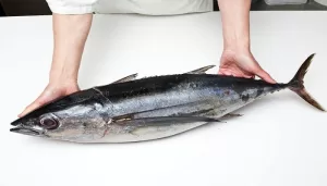 The Best Brands of Tuna