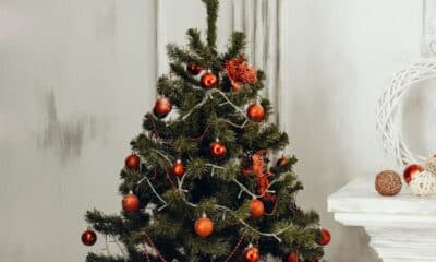 Top Ideas for Celebrating Christmas with Your Friends