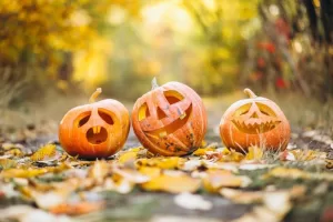 Halloween Surprises from Casino.online
