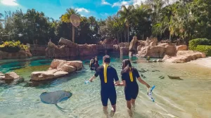 Up-Close and Purposeful – Discovery Cove