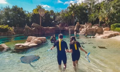 Discovery Cove