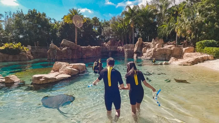 Up-Close and Purposeful - Discovery Cove 69 Discovery Cove