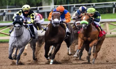 Melbourne Cup