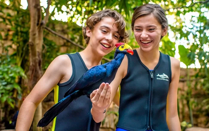 Fun Runs in the Family at Discovery Cove 67 Discovery Cove