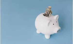 How to Save for the Future as a Self-Employed Professional