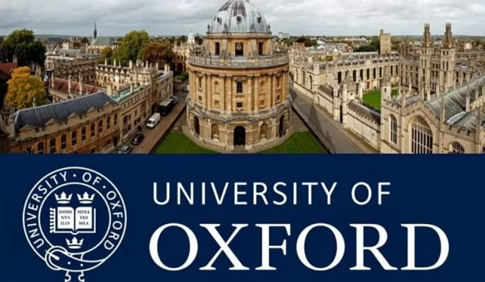 Invest strategically in wind and solar farms in Africa - Oxford study 61 Artificial Intelligence