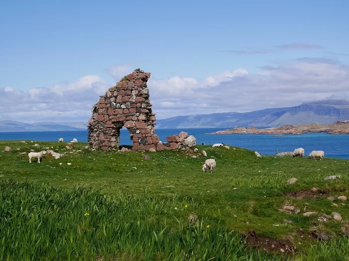 Fields in Iona