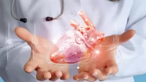 Changes In Heart Shape Can Predict Future Sudden Cardiac Arrest