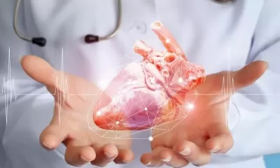 Cardiovascular