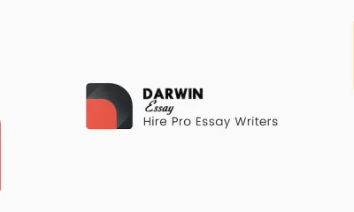 Pro Essay Writer