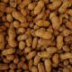 peanut allergy