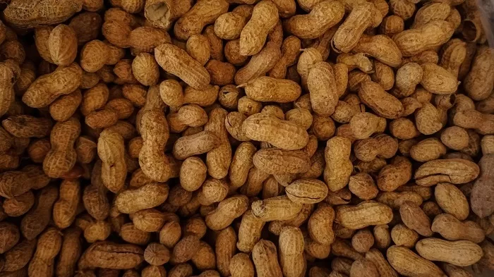 peanut allergy