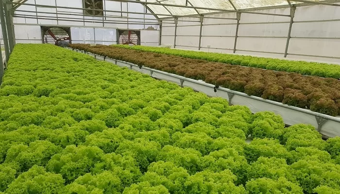 NBB Extends ESG Financing for Food Sustainability Project 61 IMG 20211212 WA0014 1