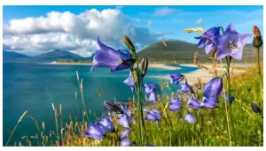 How to Plan Your Seasonal Getaway