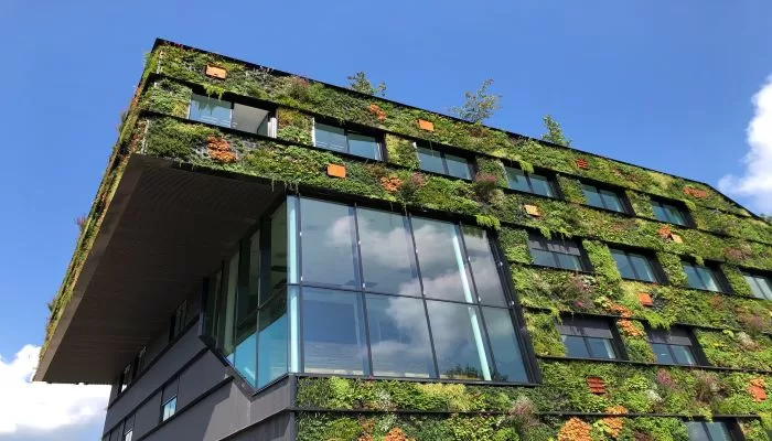 The Importance of Reducing Your Business' Environmental Footprint 61 Environmental Footprint