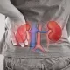 Human Kidney