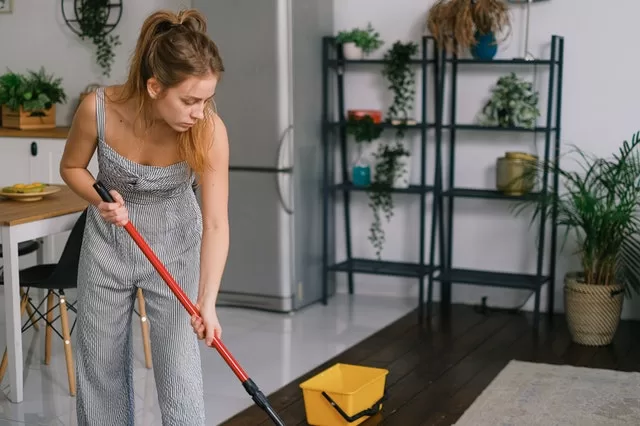 Floor Cleaning