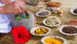 Traditional Native Indian Medicine is Effective in Treatment of Type 2 Diabetes, Says New Study