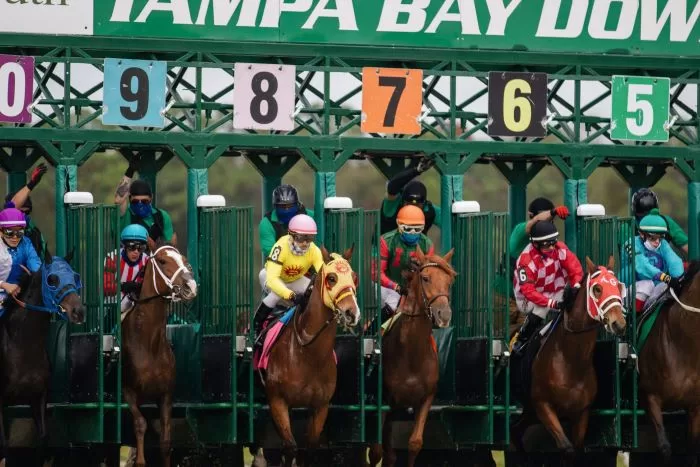 8 Best Ways to Bet on Horse Races for Maximum Winnings 61 taylor sondgeroth f2flp9x51QI unsplash
