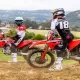 CRF