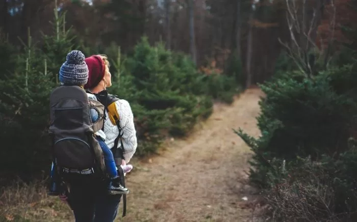 The Essential Guide To Hiking For Beginners 61 Hiking