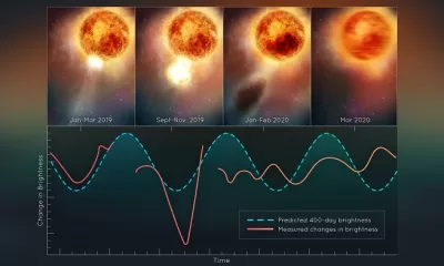 This illustration plots changes in the brightness of the red supergiant star Betelgeuse, following the titanic mass ejection of a large piece of its visible surface. The escaping material cooled to form a cloud of dust that temporarily made the star look dimmer, as seen from Earth. This unprecedented stellar convulsion disrupted the monster star’s 400-day-long oscillation period that astronomers had measured for more than 200 years. The interior may now be jiggling like a plate of gelatin dessert. Credits: NASA, ESA, Elizabeth Wheatley (STScI)