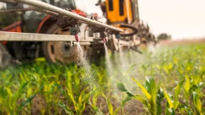 The Risks of Pesticides Need Assessing in The Same Way as Human Medications Are, Say Experts