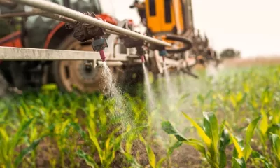 Risks of Pesticides