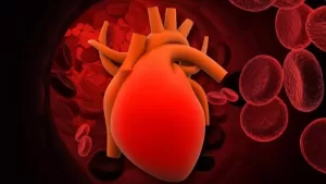 Researchers Identify Three Proteins with Potential to Prevent Heart Failure