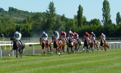 horse-race