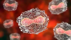 Monkeypox Linked to Neurological Complications in Some Patients