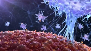 Immune Targets for Chemotherapy-Resistant Breast Cancers Identified