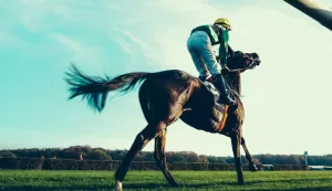 The Jockey Club Appoints New Chief Corporate Affairs Officer