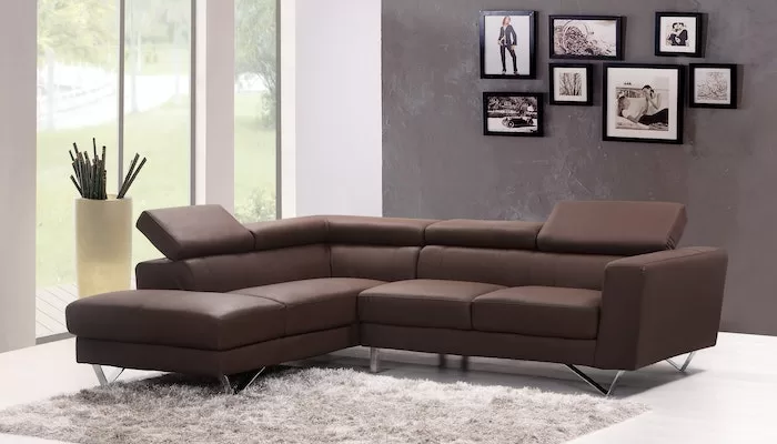 Leather Couch