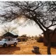 Roof Top Tents