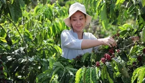 Nestlé Launches Nescafé Plan 2030 To Help Drive Regenerative Agriculture, Reduce Greenhouse Gas Emissions and Improve Farmers’ Livelihoods