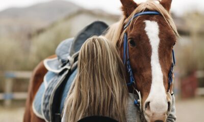 Horse rug