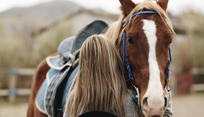 Horse rug